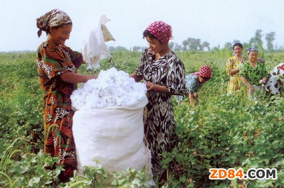 �½��޻��a(ch��n)�I(y��)�ڴ����߷���