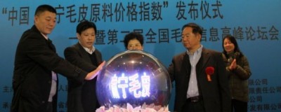 �C��ëƤָ��(sh��)�ɞ�ȫ��ëƤ�ИI(y��)�L(f��ng)���(bi��o)