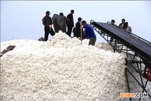 ������ރr(ji��)����(hu��)�������