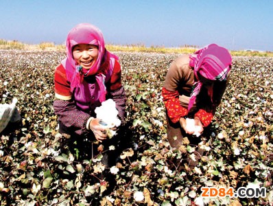 ��(gu��)�Ұl(f��)��ί���_(t��i)���(xi��ng)���ߴ��M(j��n)�½���Խʽ�l(f��)չ