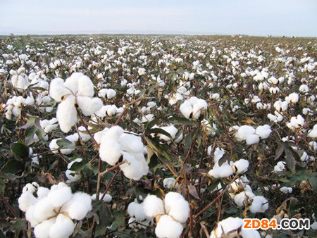 ��I(y��)���M������ �F(xi��n)؛�ɽ���