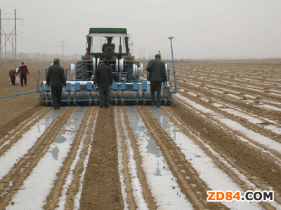 �½��Ͻ��޻�ȫ���_��