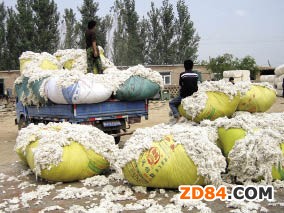 ��һ�������ރr ������I(y��)���ܳ���֮ʹ