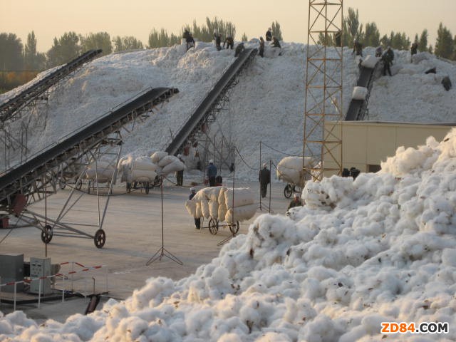 �ӱ����������r(n��ng)�_ʼ���N ������A����