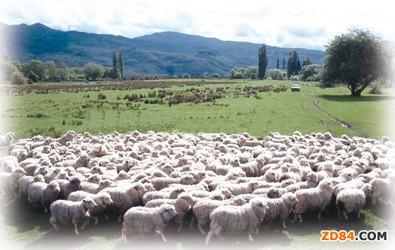 2011���҇���ُ�˰Ĵ�����73%����ë