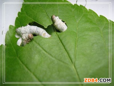 �V�������r(n��ng)�Y�r��(w��n)�� 4��25̖���I(l��ng)�B(y��ng)С�Q