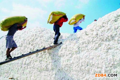 ���Ժ�Q(ch��ng)2012�޻����a(ch��n)���¿������^��