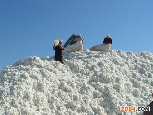 �޻��r(ji��)�񲨄�(d��ng)�pС �҇�(gu��)�޻����M(f��i)ȱ���L(zh��ng)�ڴ���