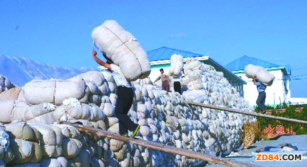 �����^�죺����(zh��n)����ȡ�����޻������󶹺�m