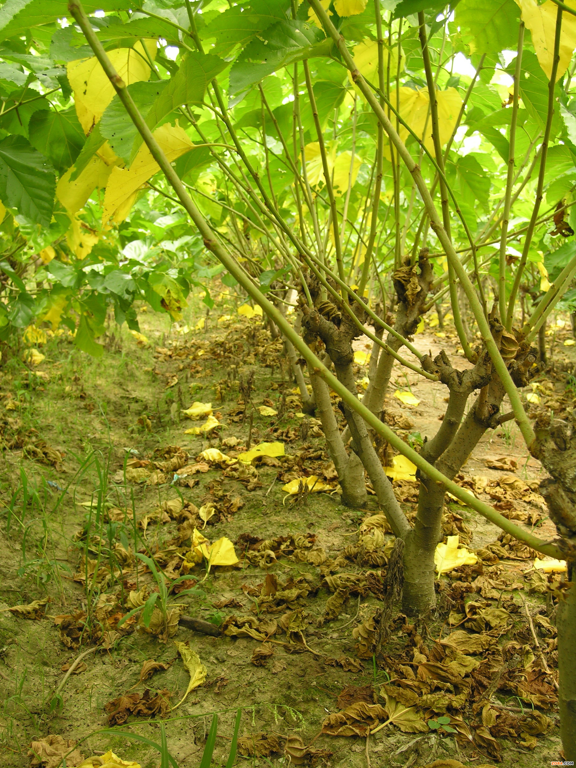 ���K��ͨ�Ю�(d��ng)ǰɣ��