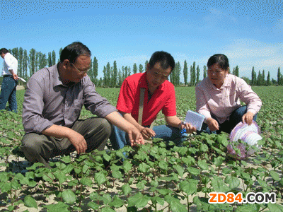 �½������K�в�ȡ��ʩ����޻����N�|��