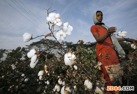 ӡ�Ȼ֏��޻����ڿ��܌���ȫ���ރr��4��