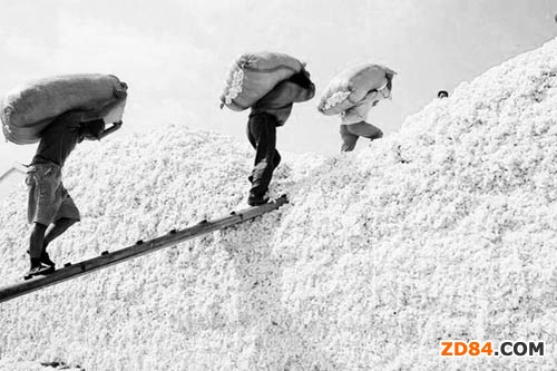 �I(y��)�罨�h����(y��ng)�M���p���޻��ڷe