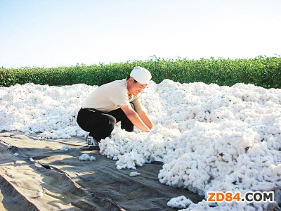 �½����п��^��՝��� Ƥ�ރr(ji��)�������µ�