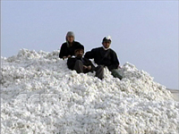 �����޻���ُ�����Y(ji��)�� ����ُƤ��18.42�f��