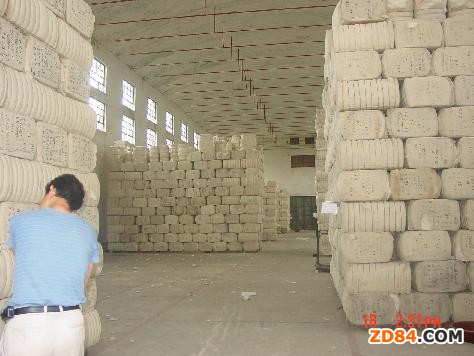 �����^�죺���e�� �ރr�y����ؓ(f��)