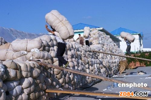 �޻���(n��i)���r(ji��)��L(zh��ng)�ڴ���