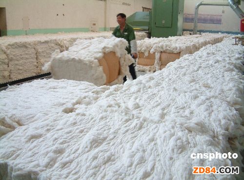 �޻� �Ľ��ڌ��Իؚw��Ʒ����