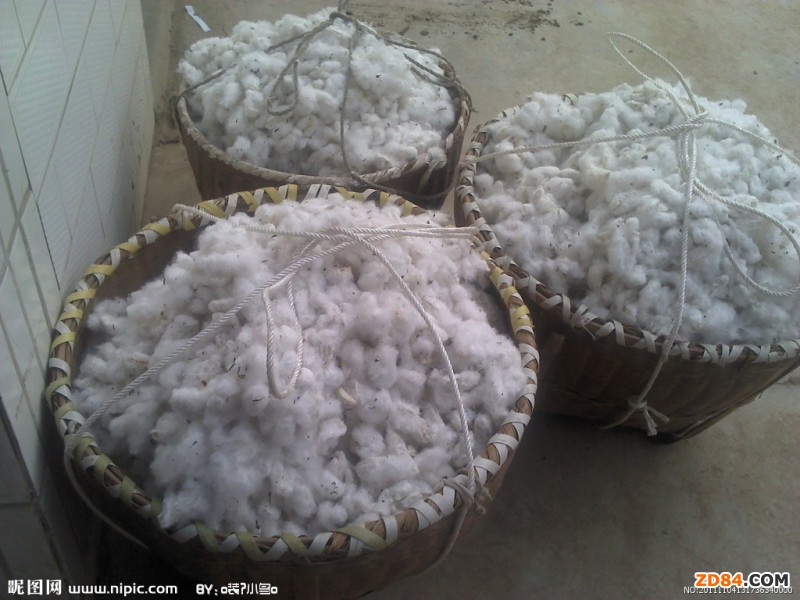 �޻��Ј�����ƣܛ ��I(y��)̎��ͣ�a(ch��n)߅��