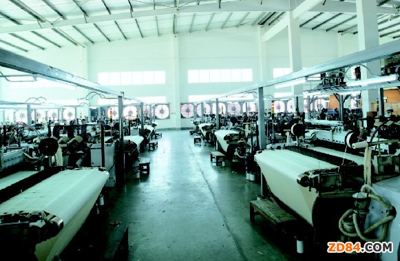 �㽭ʡ���A�mϪ48�_(t��i)�����C(j��)���D(zhu��n)֮·