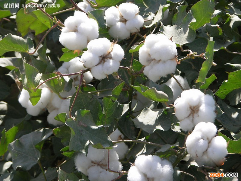 �l(f��)��ί�������Ճ�(ch��)��B(t��i)���޻�1209�ϼs�������