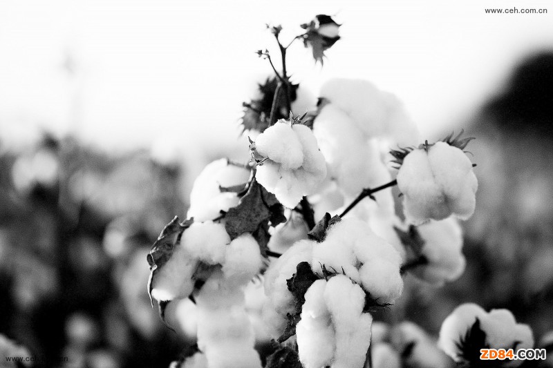 ȫ���޻��Ј��߄��c����