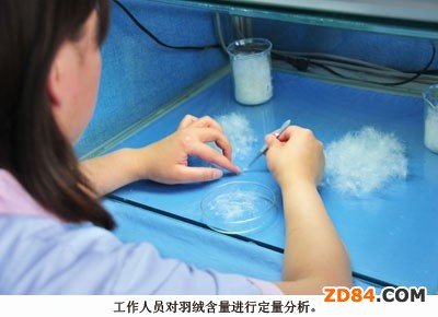 �ؑc�Ќ�����(gu��)�Ҽ�(j��)�������b�|(zh��)�z����