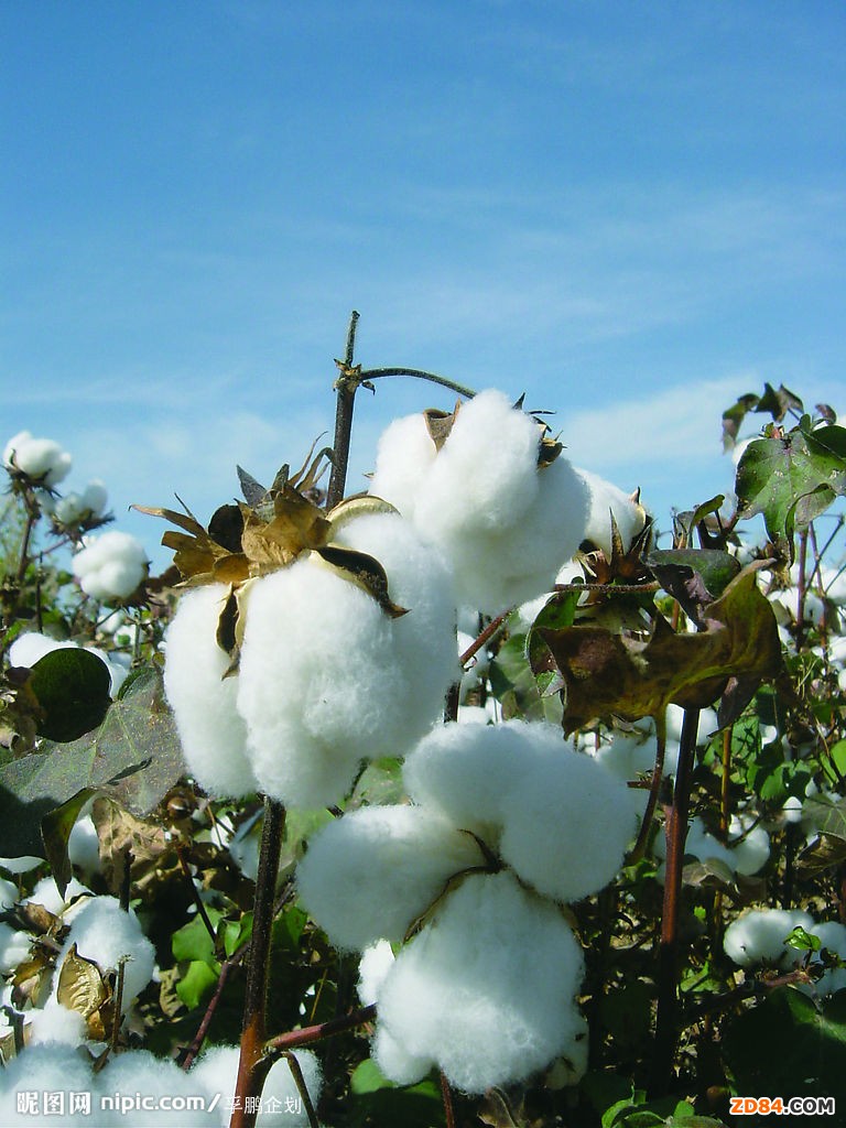 ���f(shu��)�޻����ރr(ji��)����������r(n��ng)��(d��n)�n