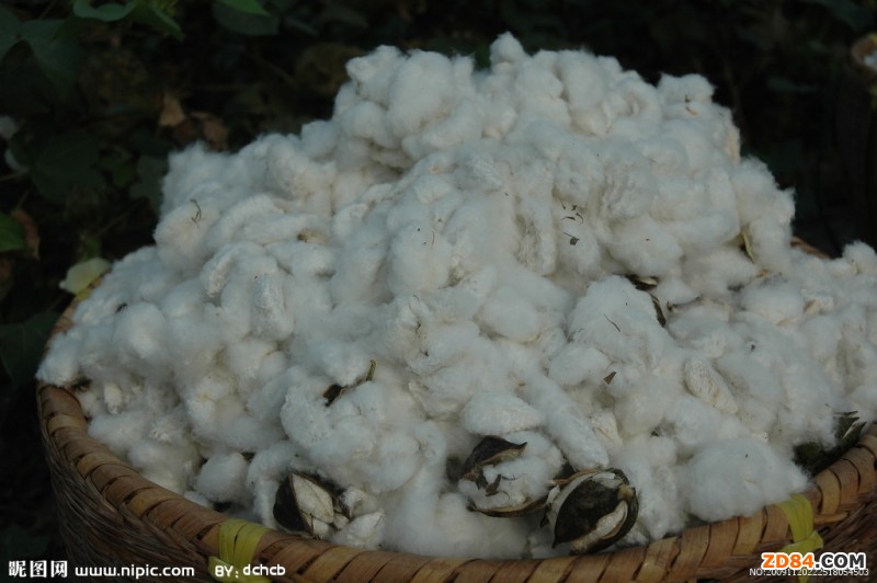 �޻����M(f��i)�M(j��n)���¸��