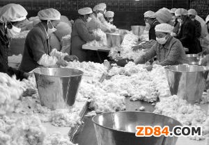 �ރr(ji��)̎������ͨ��