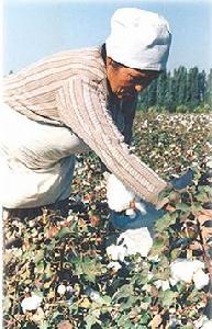 �����I(y��)���ރr(ji��)֮ʹ�����΄�(sh��)���l(f��)��(y��n)��