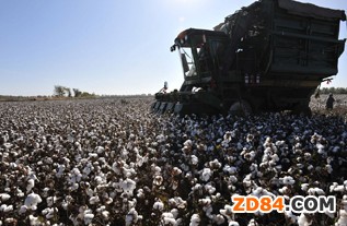 �޻�������ô����