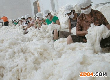 �ރr(ji��)�������҇�(gu��)�����I(y��)���R�Gʧ��(gu��)�H�Ј�(ch��ng)�L(f��ng)�U(xi��n)