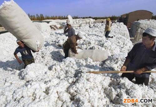 ��(gu��)���{(di��o)���޼��ИI(y��)�޻�����(y��ng)����