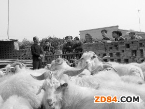 ��q�r����m(x��)�µ� �ӱ���ӳ����»�һ��