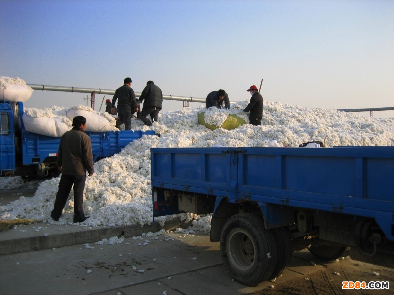 �����L��׃�� ������������(d��o)