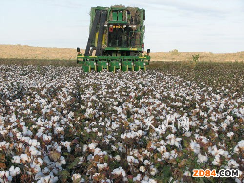 �о��@ʾ�D(zhu��n)�����޻������r(n��ng)�����B(t��i)