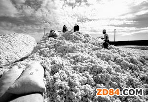 ����M�ڃ����޲��ϸ��ʸ��_94.3%