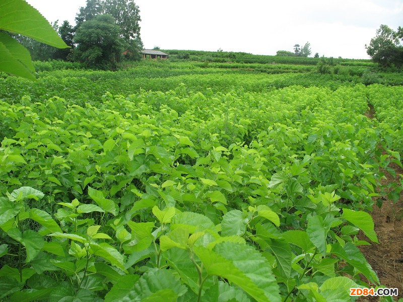 �㽭���d�Ю�(d��ng)ǰɣ��