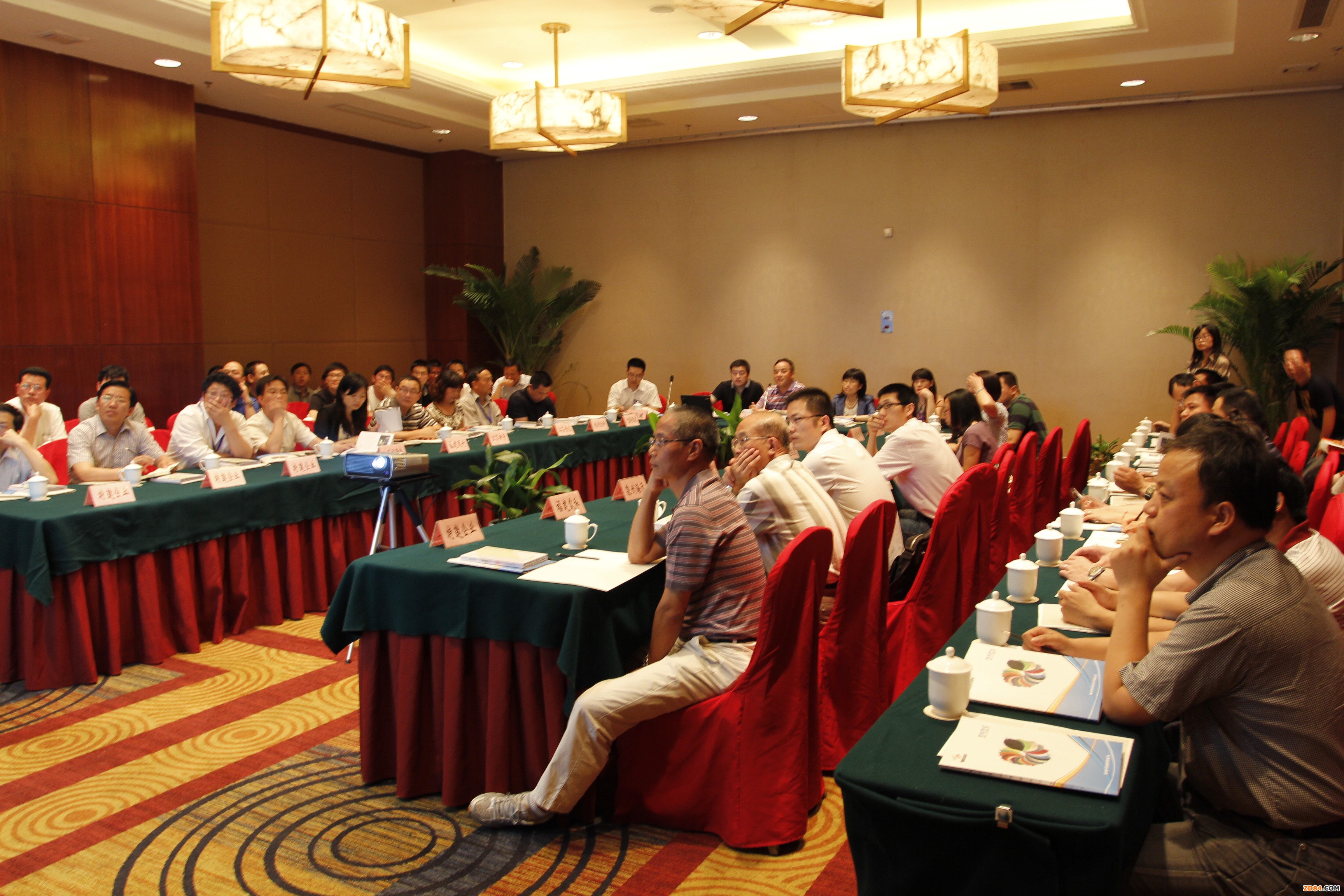 ԭҺ��ɫ�������g�l(f��)���c�ƏV���}Փ���ڜ��e��