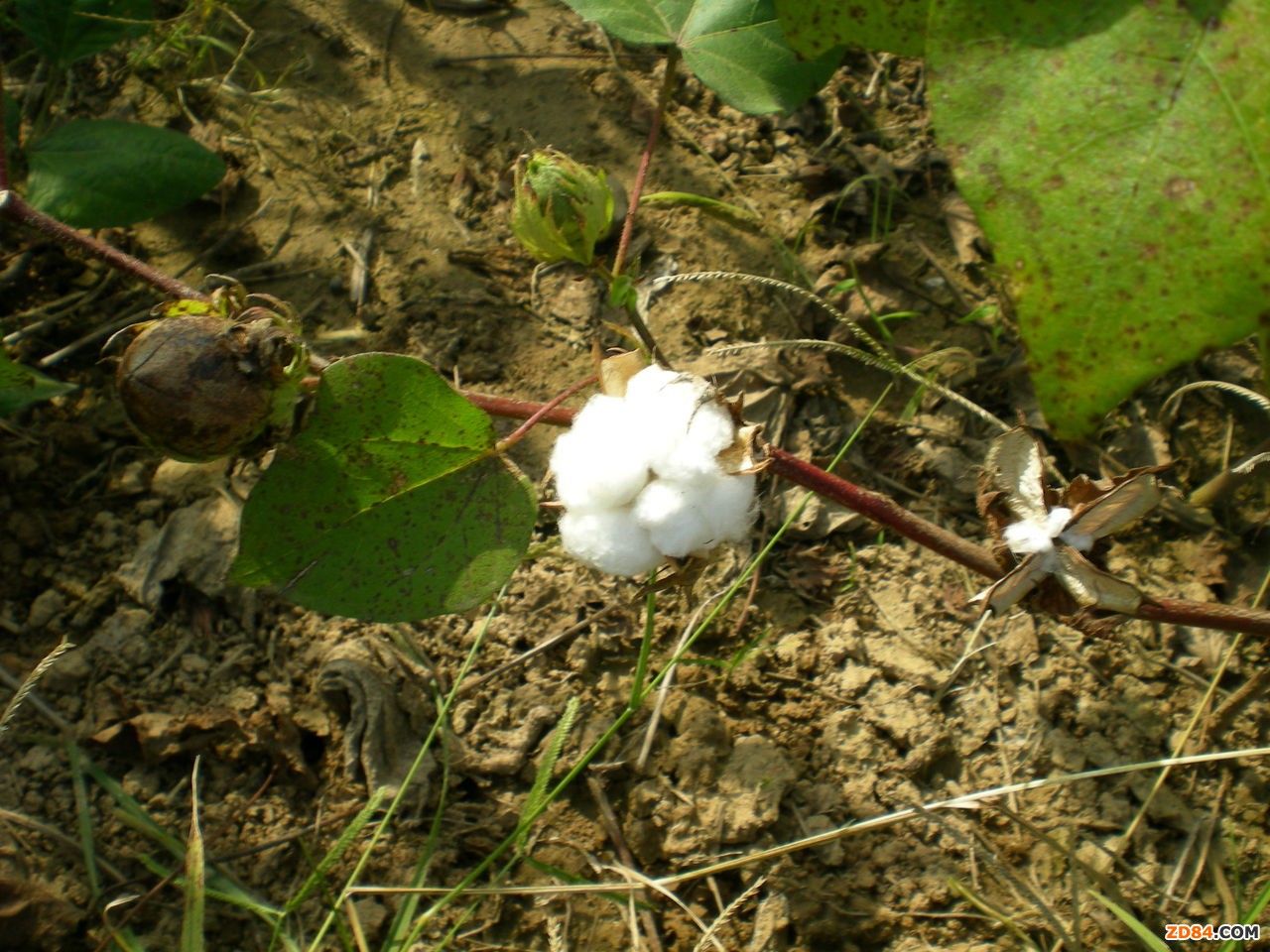 2012��6��ȫ���޻����a(ch��n)������