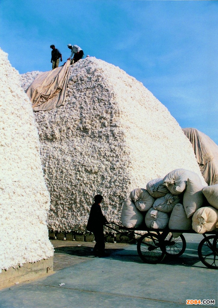 &ldquo;��&rdquo;���ᘵ����Ӻ��y�� 