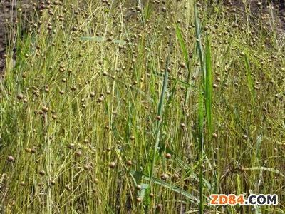 ����(li��n)�˕r(sh��)��---�����Ļ��cƷ�ƽY(ji��)�ϵ���˼��