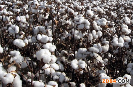 ��Դ��؛���������R�p�؉���