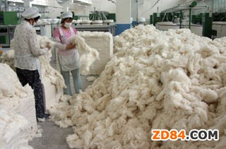 �޻���������ɽ�|������I(y��)���R&ldquo;�����&rdquo;