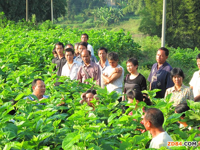 �V���h(hu��n)���h�e��&ldquo;����&rdquo;�Q�I(y��)���g��Ӗ��