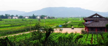 四川南充:綠染桑園成美景 養(yǎng)殖觀光兩相宜