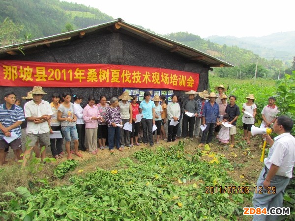 �V�����¿h�e�O�_չɣ�@�ķ����g(sh��)��Ӗ