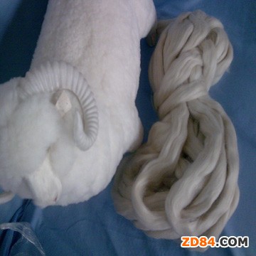 ��ꎿڰ��ϰ�����ë�M���»�