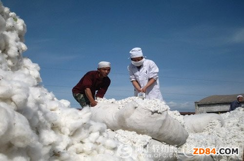 �½����_(d��)�����޼��\(y��n)ݔ�M(f��i)���a(b��)�N�Y��